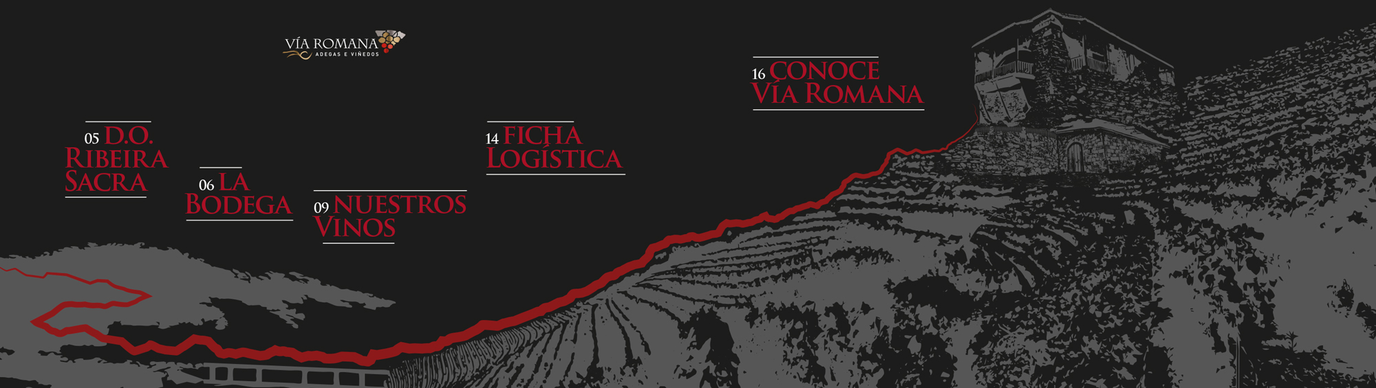El vino que no entiende de prisas