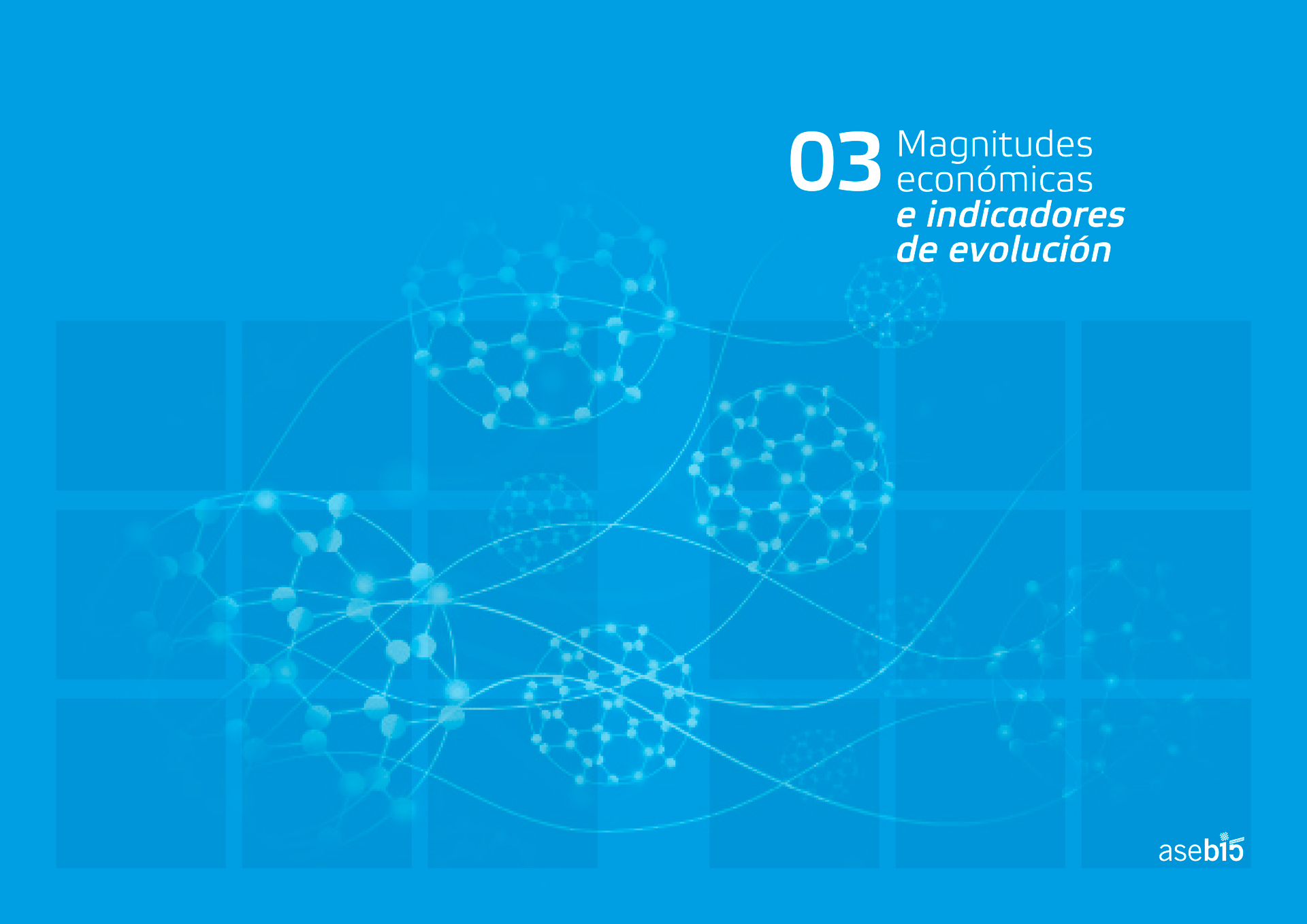 ASEBIO Report 2013