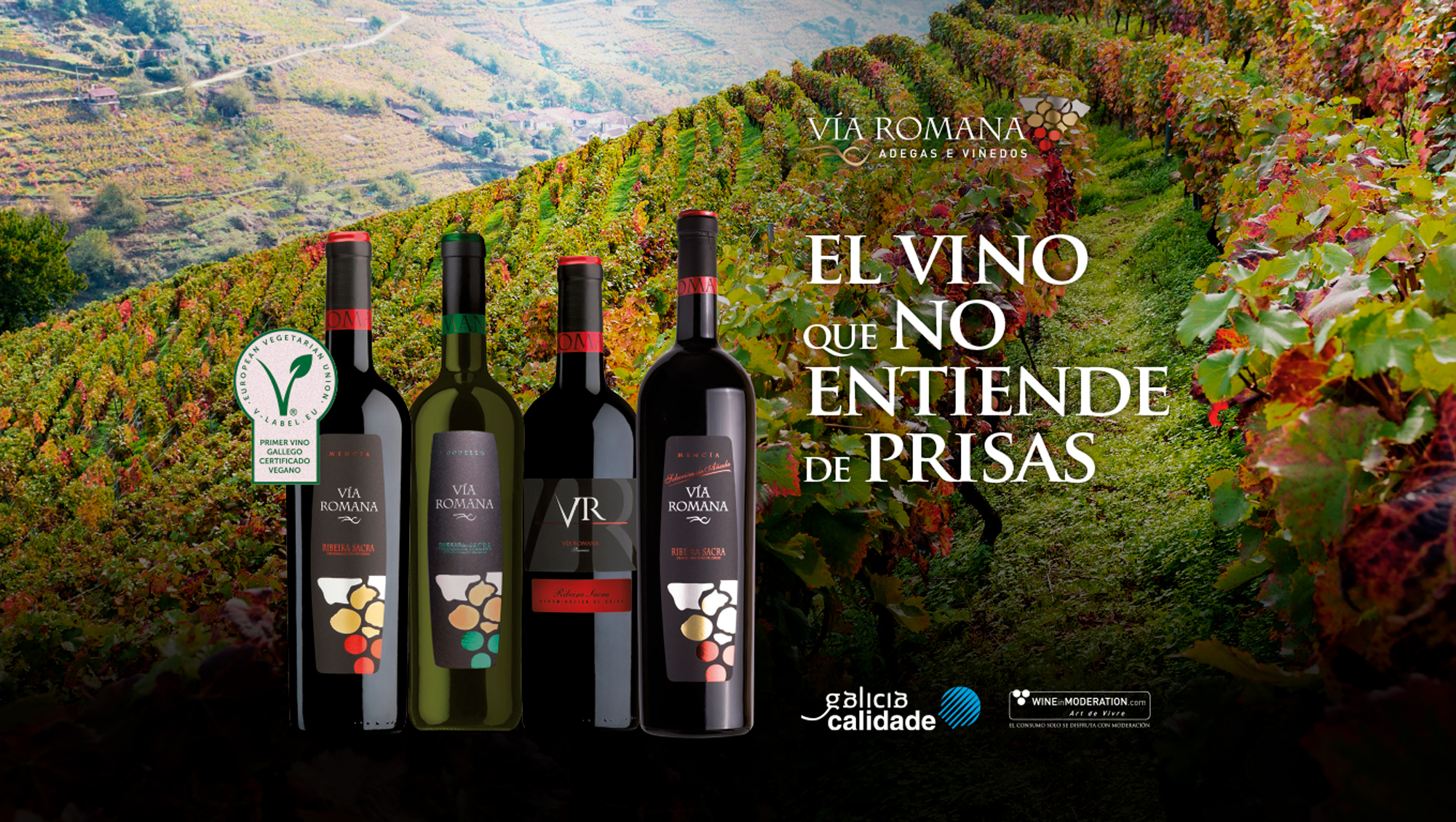 El vino que no entiende de prisas