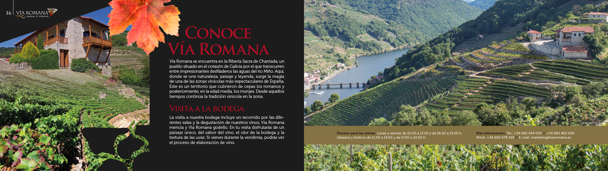 El vino que no entiende de prisas