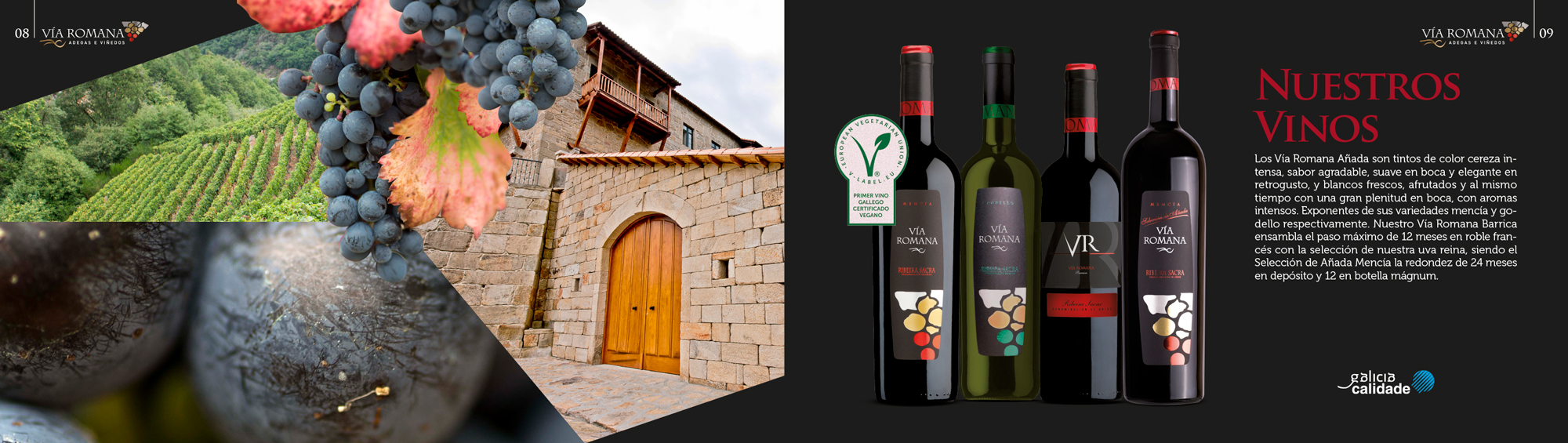 El vino que no entiende de prisas