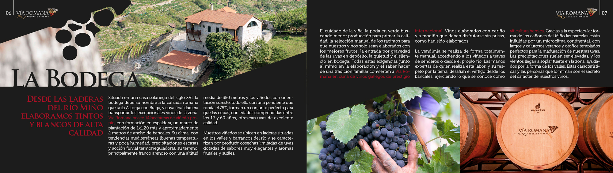 El vino que no entiende de prisas