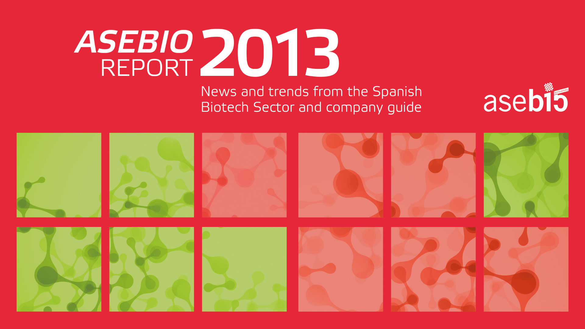 ASEBIO Report 2013