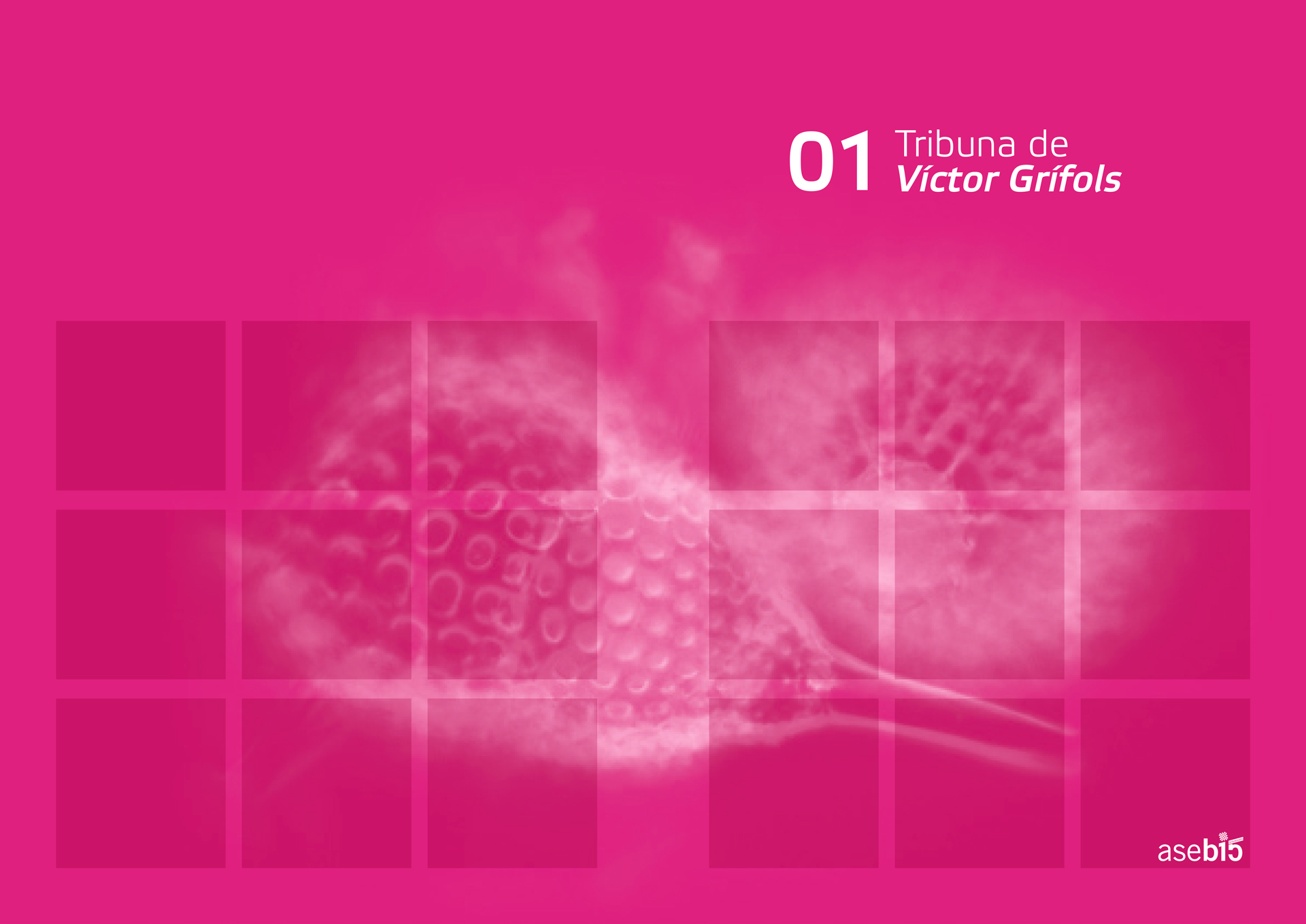 ASEBIO Report 2013